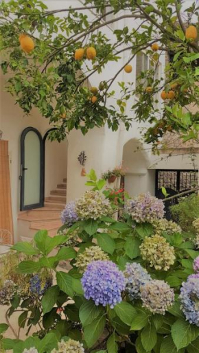 Отель Sorrento Studios Lemons Hill  Сорренто